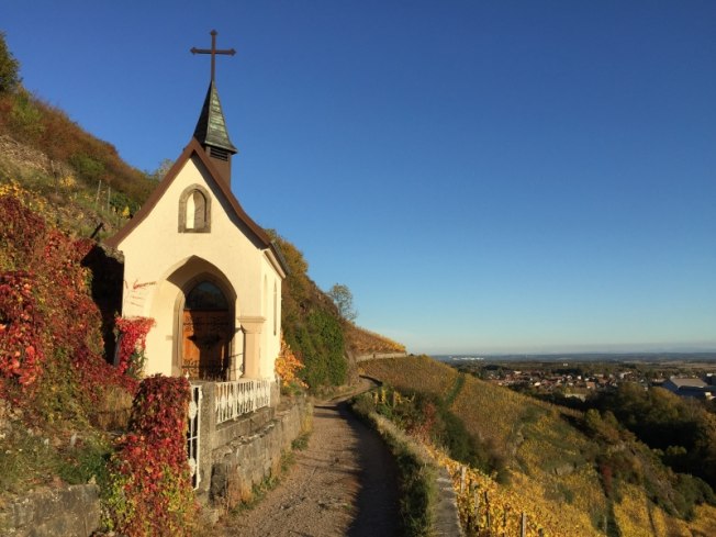 Chapelle St-Urbain dans le vignoble du Rangen