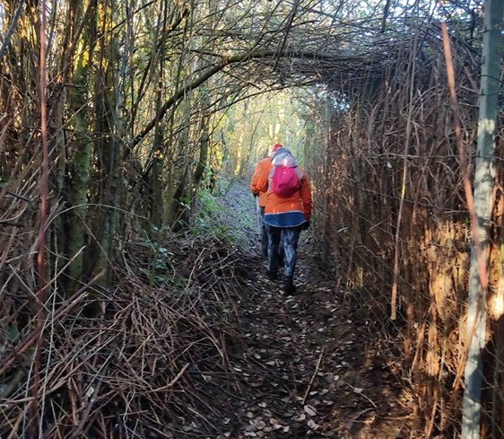 Promenade en forêt